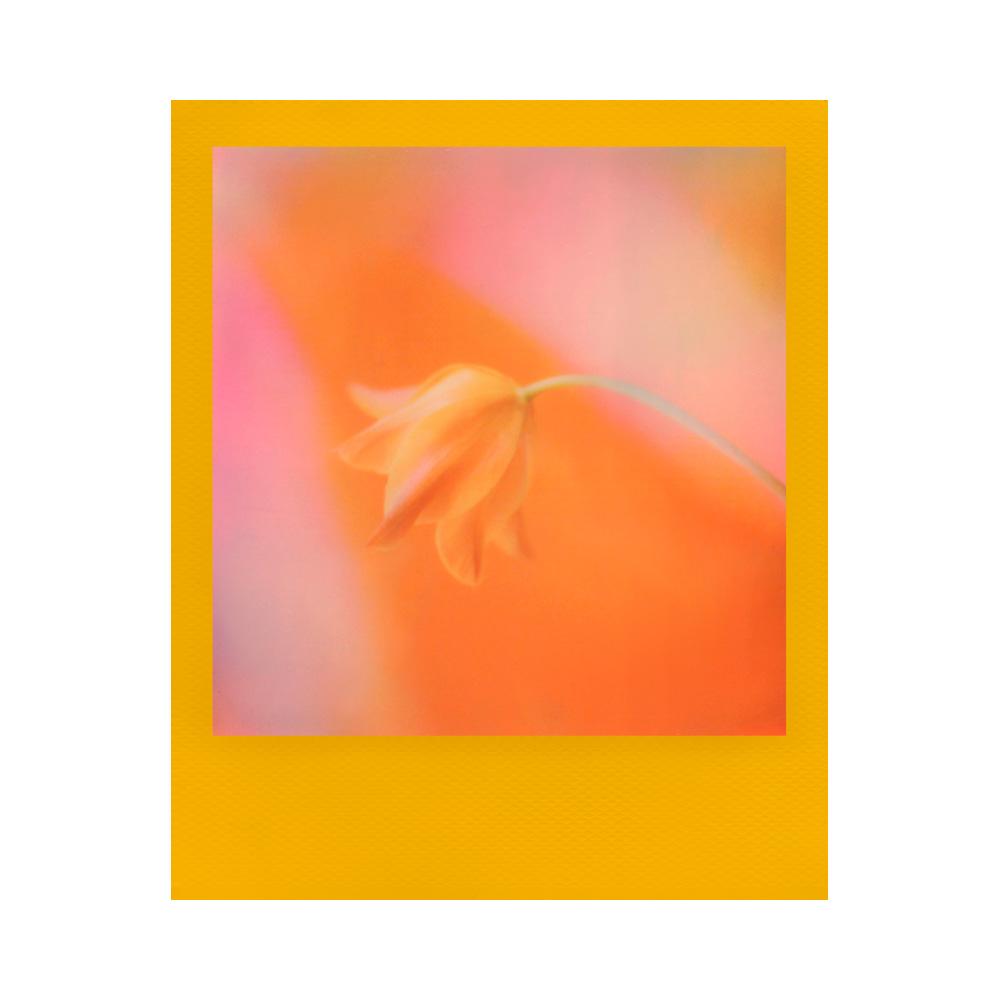 Polaroid Color film I-type Color Frame 8 kpl - Image 7