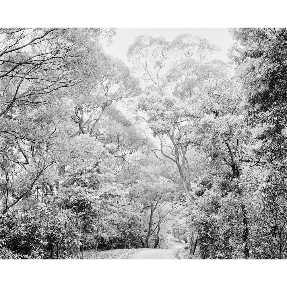 Rollei RPX 25 135, 36 kuvaa - Image 3